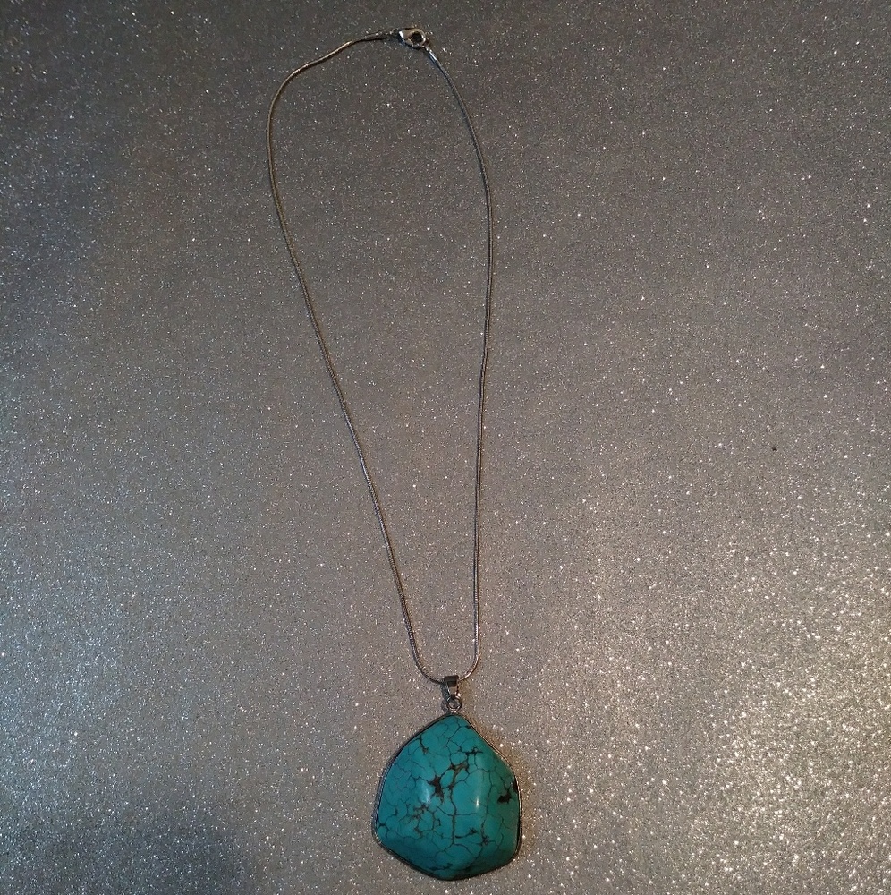 NWOT Turquoise Pendant on a Silver Chain